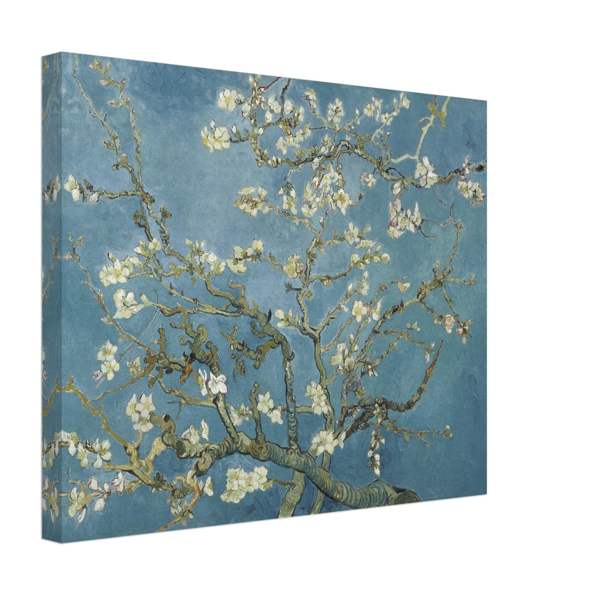 Almond Blossom Canvas Wall Art - mykodu